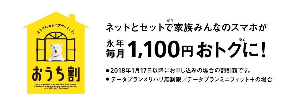 おうち割 光セット