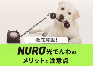 NURO光でんわのお得なメリット6つと気を付けるべき全注意点を解説