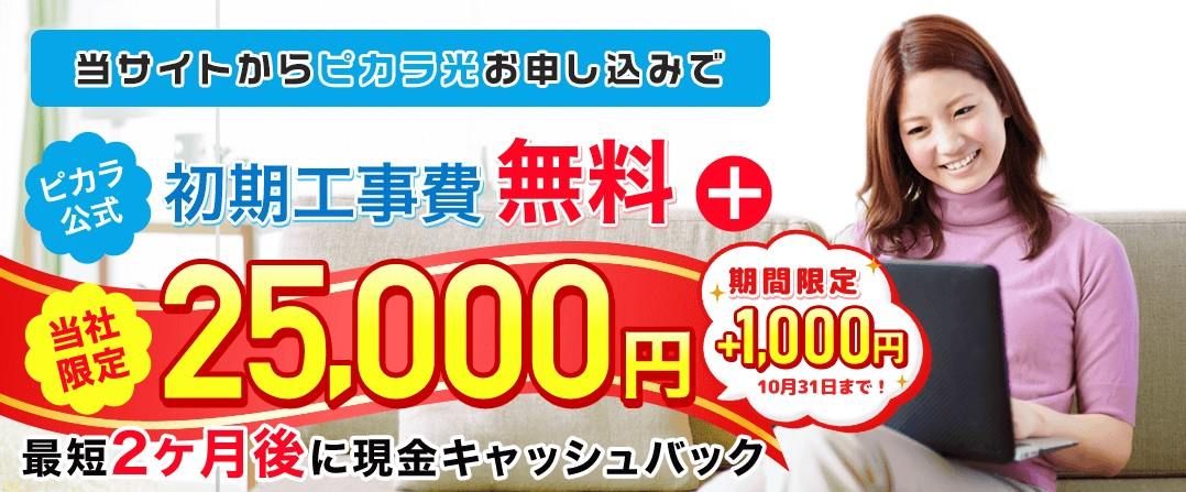 ピカラ光_NEXT
