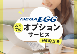 メガエッグのおすすめオプションサービスと解約方法まとめ