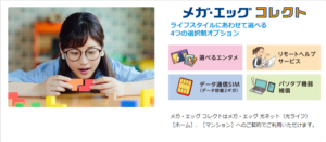 メガ・エッグ光コレクト