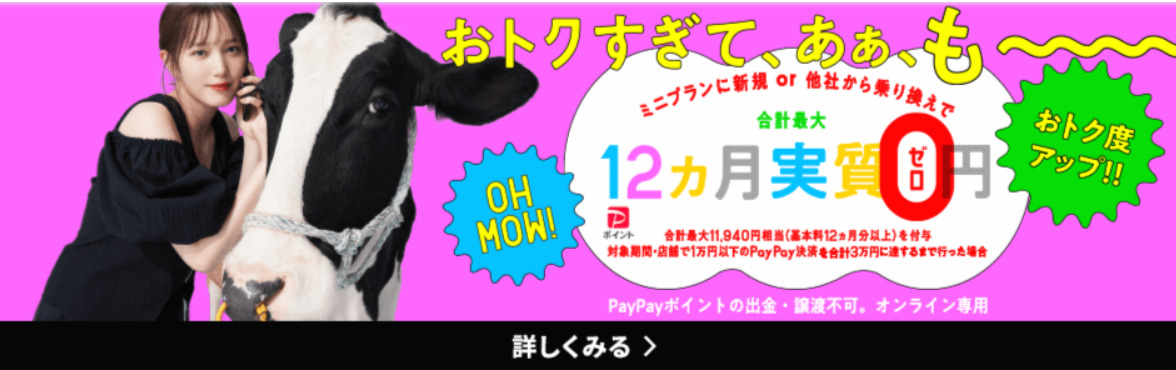 半年間ずーっとPayPayポイントもらえるキャンペーン