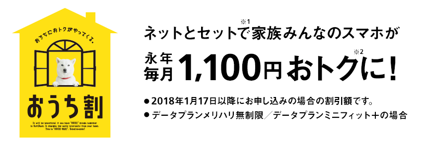おうち割光セット